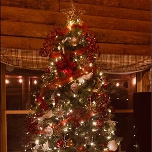 Meet your Posher, Katharine